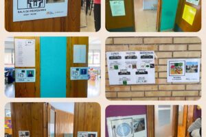 image_123650291 image_123650291